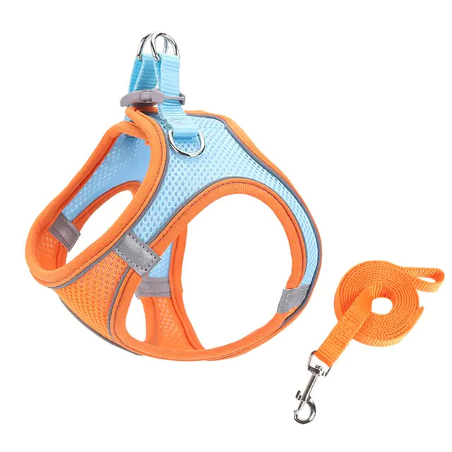 Escape Proof Pet Harness & Leash Set (sizes XXS - L) (x8 color options)