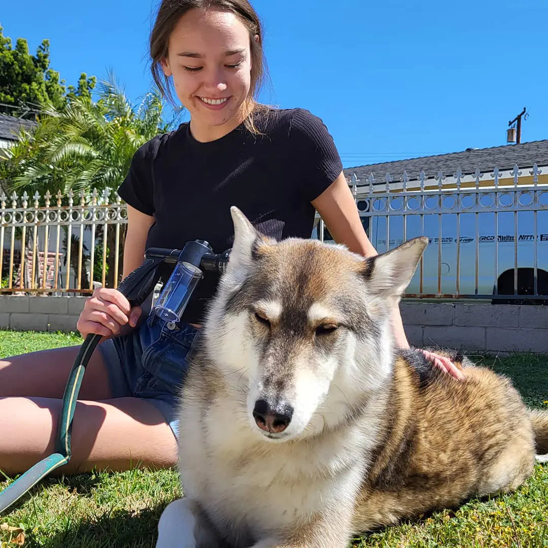 Pets Shower Attachment