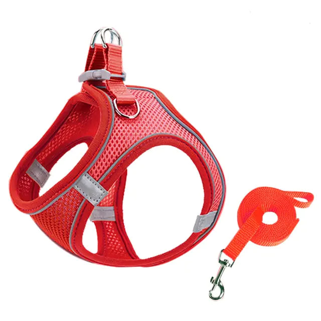 Escape Proof Pet Harness & Leash Set (sizes XXS - L) (x8 color options)