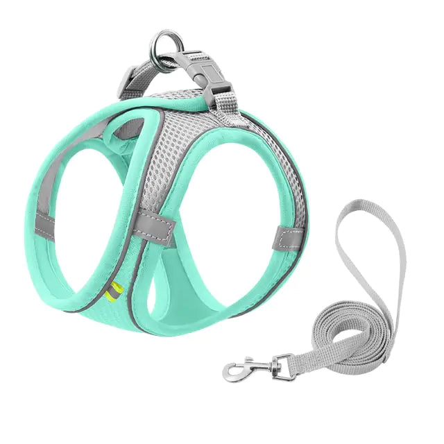 Escape Proof Pet Harness & Leash Set (sizes XXS - L) (x8 color options)