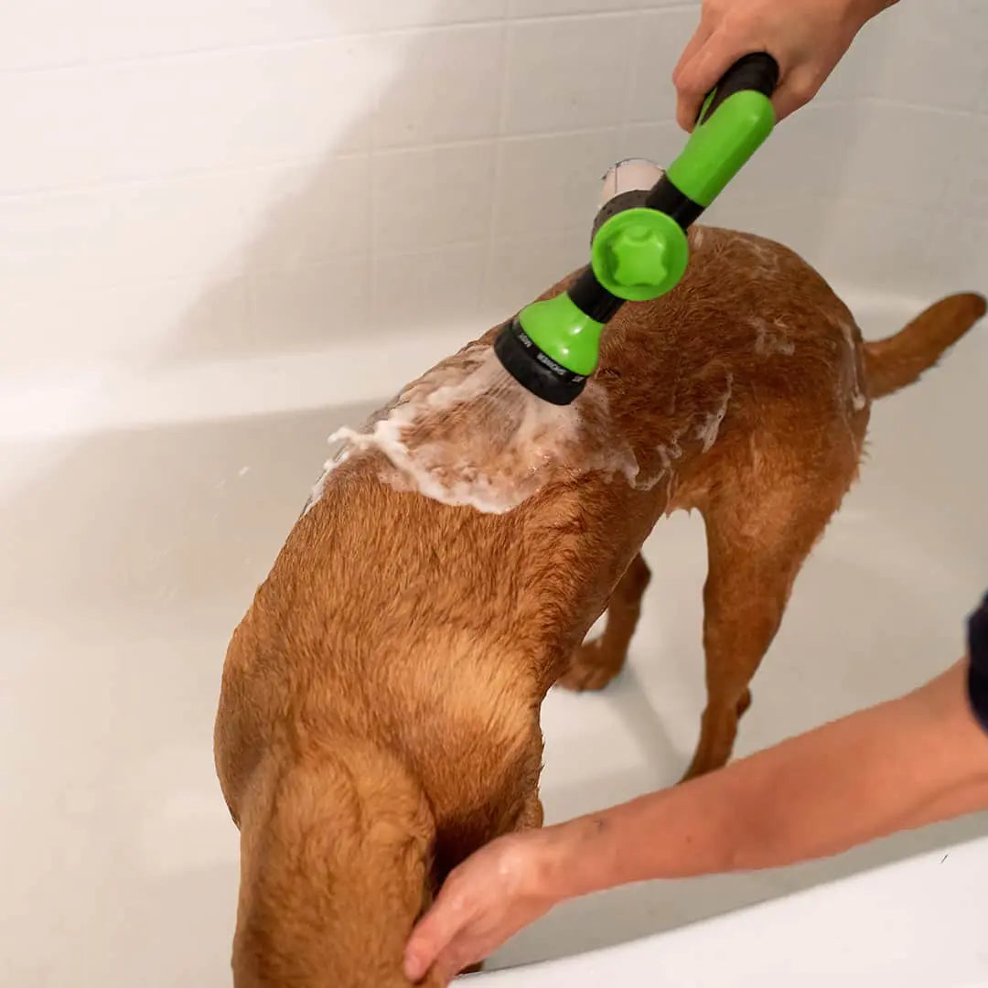 Pets Shower Attachment