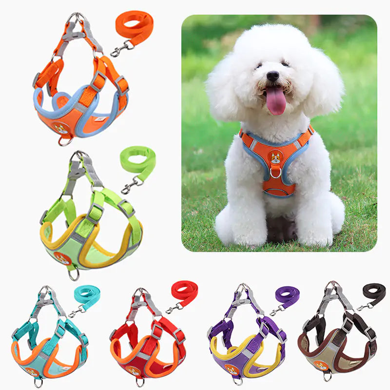 Reflective Pet Harness & Leash Set (size & color options)