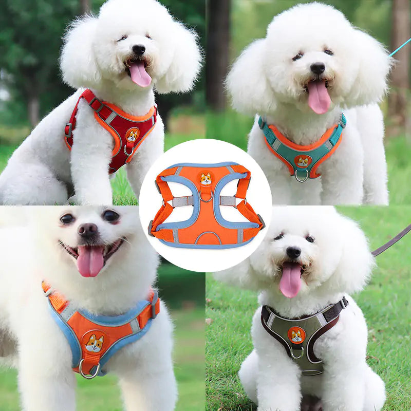 Reflective Pet Harness & Leash Set (size & color options)