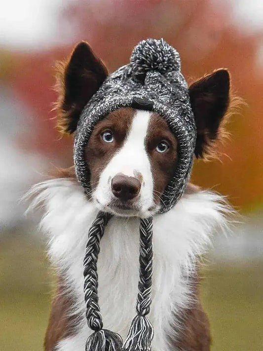 Pup Companion Cap