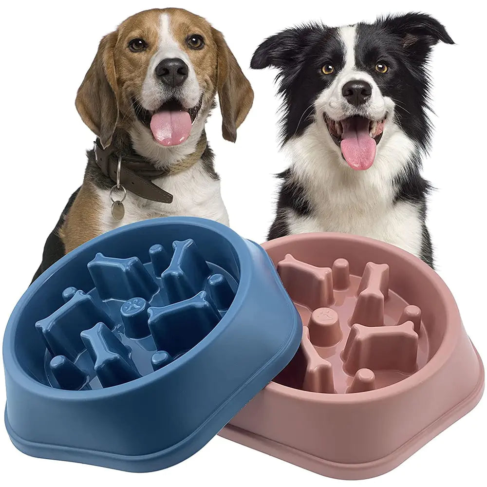 Bone Design Slow Feeder Pet Bowl (color options)